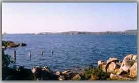 Shamirpet lake